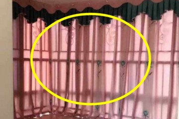 家里万万不要挂这三种窗布挂一天穷一天腰缠万贯都败光