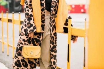 袁姗姗把豹纹大衣穿火配卡其色萝卜裤姜黄毛衣披肩时尚爆