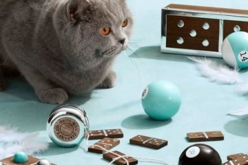 你或许一直都误解Tiffany＆Co.了