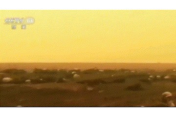 5亿动物逝世山火围澳末日来了