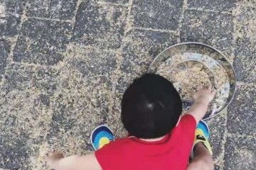 张歆艺带儿子爬山喂鸟袁弘把鸟放头上逗儿子高兴四坨胖乎乎