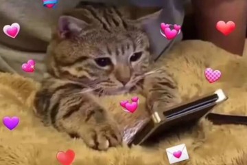 腿粗千万别乱穿12套明星同款穿搭穿对瘦十斤