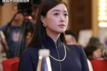 与刘涛分裂后被孙俪婉拒协作现在成为娱乐圈''最洁净''的女星