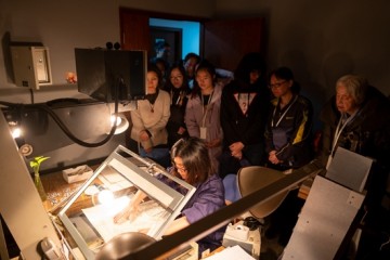 一拍500年数字年代为什么还需要缩微胶片