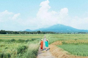 退休后最好的联系最好的朋友最好的状况…
