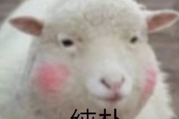 女明星年度红毯造型神仙打架现场来了