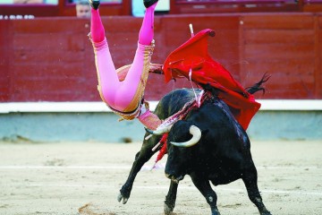 西班牙斗牛与逗牛精彩各不同