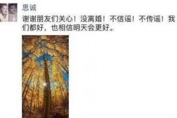 陈思成真的是渣男这跟他们比起来底子不算什么