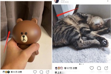 杨幂与魏大勋用同款窗布疑似同居追星成功第一人再曝实锤