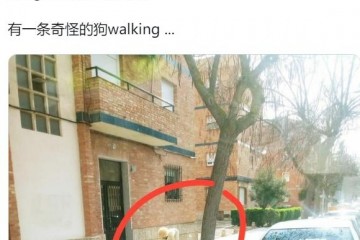 为啥我们都不爱嗑异性恋CP