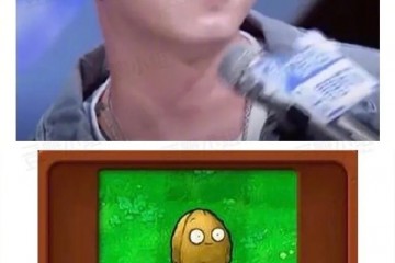 当JonyJ退赛的时分一切淡黄长裙和疏松头发都不是无辜的