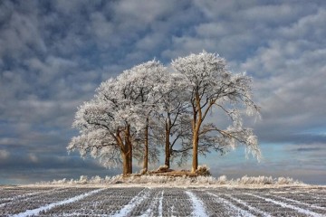 人生而美丽更应活的美丽