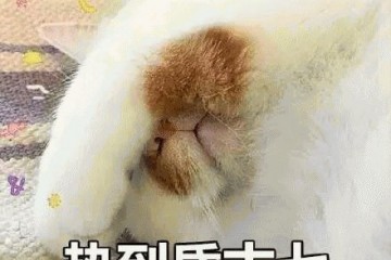 T恤+奶奶鞋简略穿出法度高雅