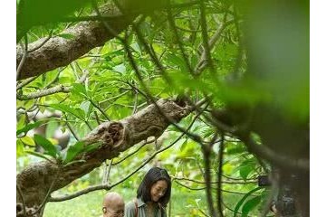 朱丹口误影响大转行变卖货主播开展工作第二春跟谢娜差太远了