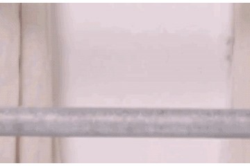 想醉在诱人的芭蕾气质里轻盈起舞