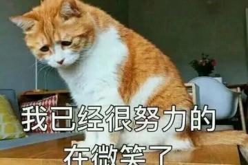 是时分穿西装加T恤了让你美爆整个春天