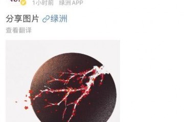 肖战逆风归来用一枝梅说出黑私自的坚持和感动春暖花又开