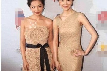 六位合影会被秒杀的明星刘涛佟丽娅是由于皮肤赵薇由于衣品