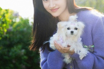 景甜撞衫沈梦辰同一件紫色针织开衫富贵花和网红脸谁赢了