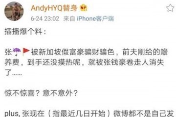 张雨绮被假富豪男友骗财又骗色前夫给的千万生活费也骗走了