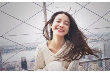 不愿罢手张大奕网店上总裁夫人同款V领衫海报小衫也能出道