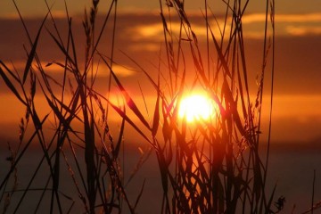 夏天皮肤为什么会晒伤夏天皮肤该如何护理