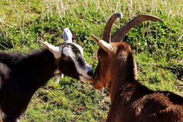 如何选择比较好的整牙医院
