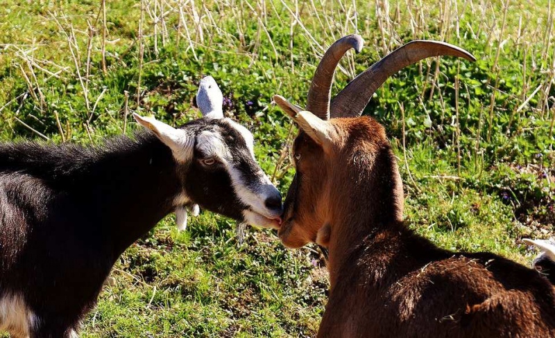 如何选择比较好的整牙医院