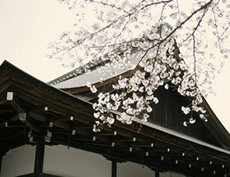 高通中国区董事长孟樸：5G与AI的融合正加速企业数字化转型步伐