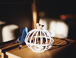 悦榕集团旗下珠海横琴悦椿酒店正式揭幕