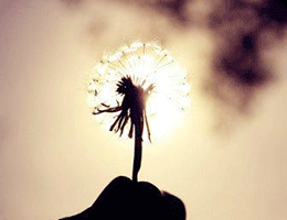 钓鱼台美高梅酒店集团第三届“赏味·星厨”美食活动正式启幕